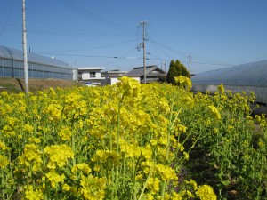 IMG_1477