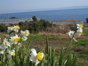 IMG_1481